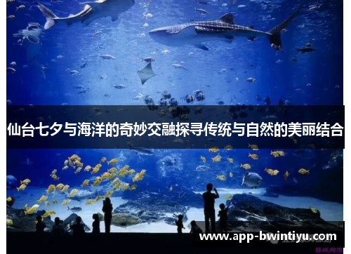 仙台七夕与海洋的奇妙交融探寻传统与自然的美丽结合